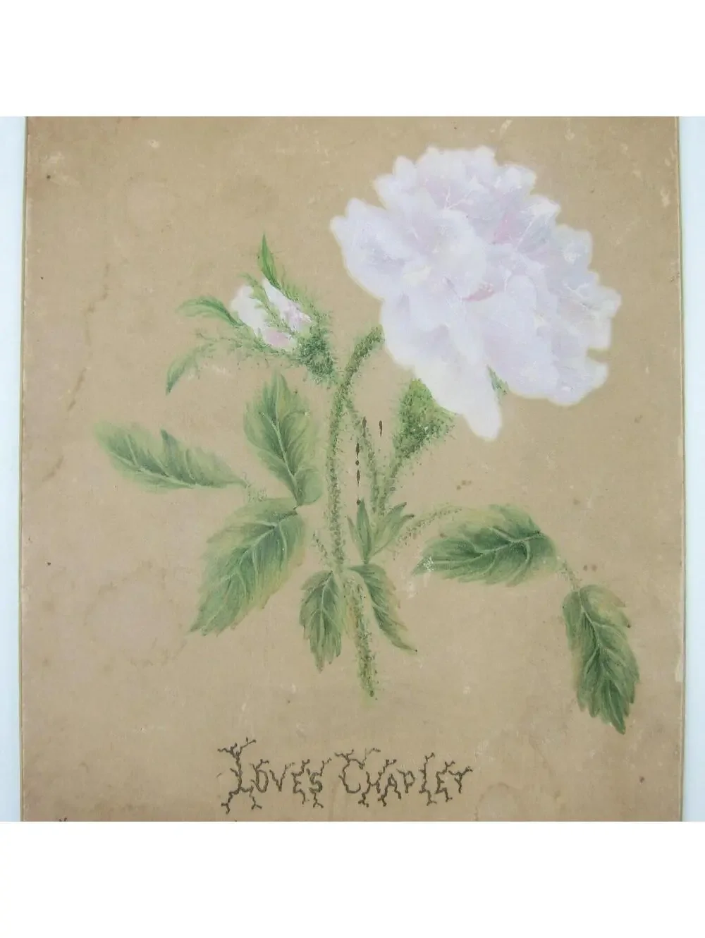Victorian Greeting Card Peony Flowers Loves Chaplet Poem Bless the Year Antique